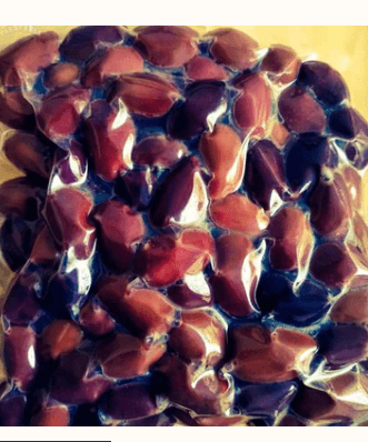 Table olives 500gr
