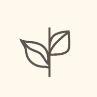 Company user Avatar - 2398