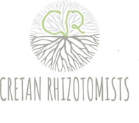 Company user Avatar - 331