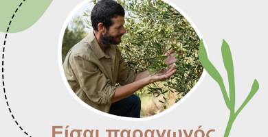 AGRIHOST Φωτογραφία 4