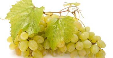 Grapes
