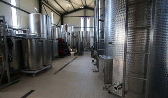 ΟΙΝΟΠΟΙΙΑ ΠΟΥΛΤΣΙΔΗ Φωτογραφία 4