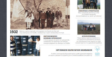 ORGANOSI PARAGOGON VAMVAKOS TOY A.S ORXOMENOY Photo 4