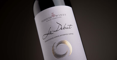 Le debut Φωτογραφία 