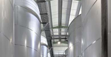 Olivartia Φωτογραφία 4