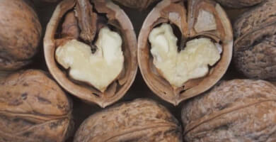 THESSALIKOS KARPOS Photo 5