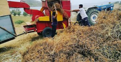 FAVA SCHINOUSSA - OKTO ADELPHIA Photo 2