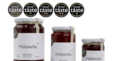 Μέλι Πεύκου 940γρ