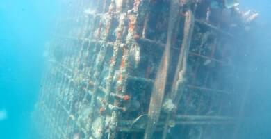 AMPHORA RHAPSODY 2015 (AGED UNDER SEA)