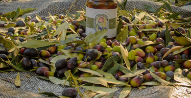 AGRICULTURAL OLIVE COOPERATIVE OF LIVANATES Photo 2