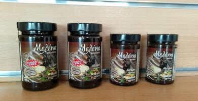 ΜΕΛΙΣΣΟΚΗΠΟΣ Φωτογραφία 3