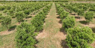 QTRADE Φωτογραφία 1