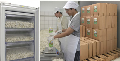 Giant Beans of Laista Zagori Photo 4