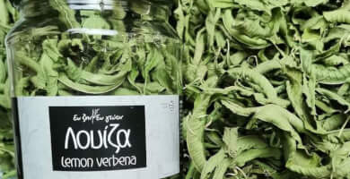 EF ZIN - EF GEVIN Photo 5