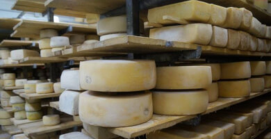 KARGAKIS  CHEESE FACTORY Photo 2