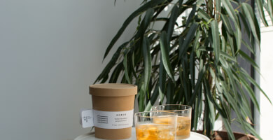 Drink it, Plant it - Organic Herbal Tea Blends Photo 