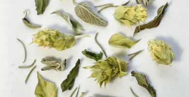 Mountain Breath (νέα συσκευασία) Φωτογραφία 