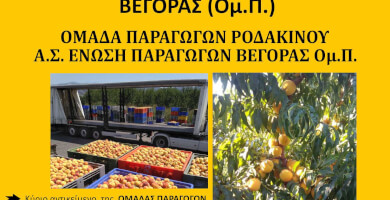 ΕΝΩΣΗ ΠΑΡΑΓΩΓΩΝ ΒΕΓΟΡΑΣ Photo 1