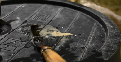 Botanic Sparkling Φωτογραφία 