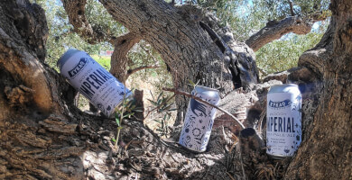 Woddy Imperial IPA Photo 