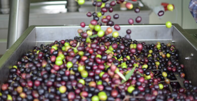 KONOS- ΜΑΡΙΑ ΜΙΧΕΛΗ Φωτογραφία 3