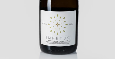 IMPETUS WHITE 2019