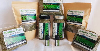 ΠΑΠΑΣΩΤΗΡΙΟΥ ΓΕΩΡΓΙΑ Φωτογραφία 3