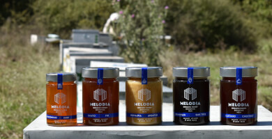 MELODIA Φωτογραφία 2