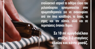 AITHERIA Φωτογραφία 2