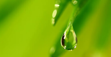 ISO 14001:2015