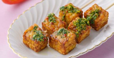 Soy Tempeh BIO Photo 