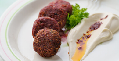 Soy Tempeh BIO Photo 