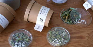 Drink it, Plant it - Organic Herbal Tea Blends Photo 