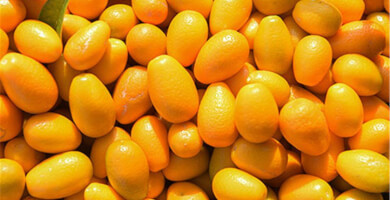 Kumquat, Fresh Fruit