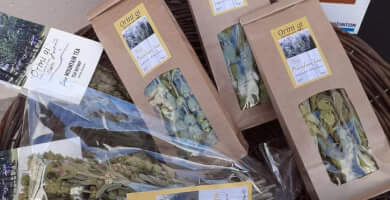 ΟΡΕΙΝΗ ΓΗ Φωτογραφία 3