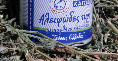 ΑΛΕΙΦΩΔΕΣ ΚΑΤΣΙΚΙΣΙΟ ΤΥΡΙ ΜΕ ΠΑΡΘΕΝΟ ΕΛΑΙΟΛΑΔΟ ΓΕΥΣΕΙΣ ΕΛΛΑΔΑΣ