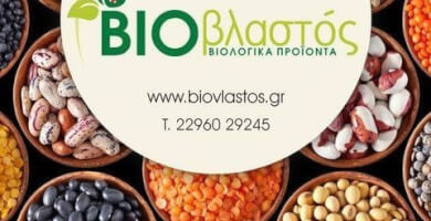 ΒΙΟΒΛΑΣΤΟΣ Φωτογραφία 1