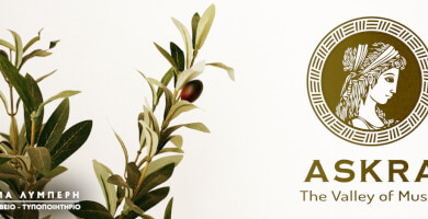 Company Image