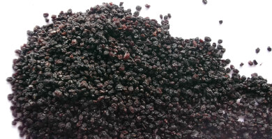 Κορινθιακή σταφίδα Ηλείας ΠΓΕ