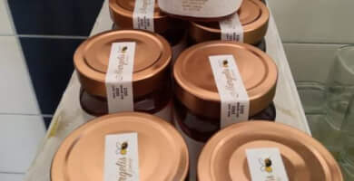 Honey Margelis Family