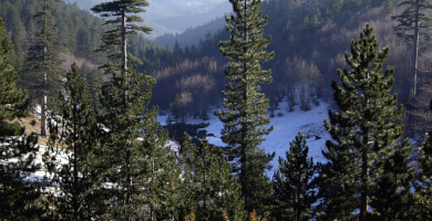 Region of West Macedonia Photo 3