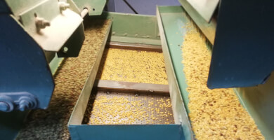 FAVA SCHINOUSSA - OKTO ADELPHIA Photo 4