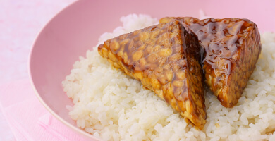 Soy Tempeh BIO Photo 