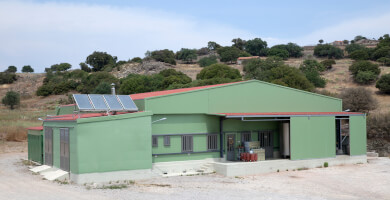 MYSTAKELLI DAIRY PRODUCTS Co. Photo 3