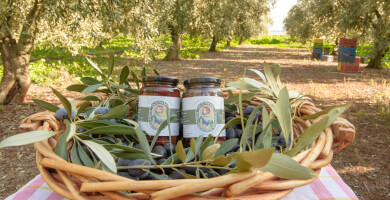 AGRICULTURAL OLIVE COOPERATIVE OF LIVANATES Photo 4