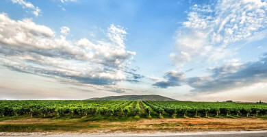 KAVALA DEVELOPMENT AGENCY– S.A. of LOCAL AUTHORITIES – AN.KA. Photo 1