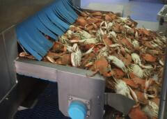 ΟΛΥΜΠΙΑΣ ΑΒΕΕ Φωτογραφία 3