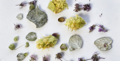 Vivid Wonders (νέα συσκευασία) Φωτογραφία 