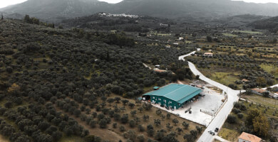 LAPITHAS ELAIOYRGIKI S.A. Photo 1