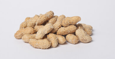 Peanut in shell